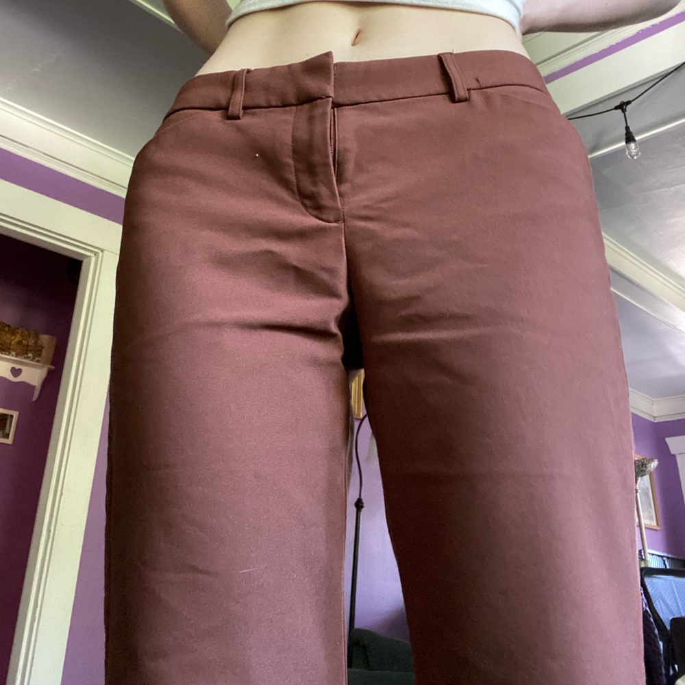 brown express dress pants